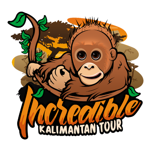 Incredible Kalimantan Tour | Trusted Borneo Tour & Travel Since 2011